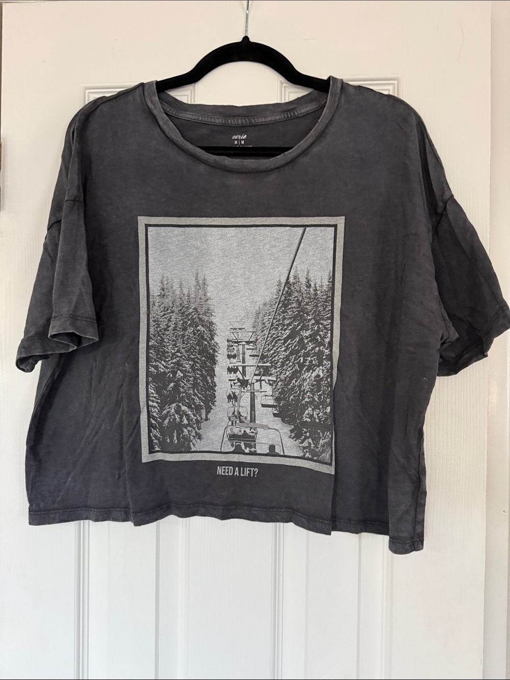 aerie Gray Graphic Short Sleeve Tee with Ski Lift Print